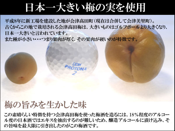 日本一大きい梅の実を使用した梅酒